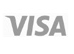 visa logo